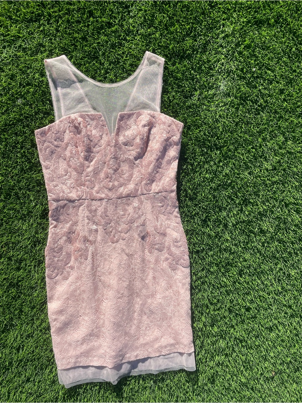 BCBGMaxAzria Dusty Rose Lace Sheath Dress